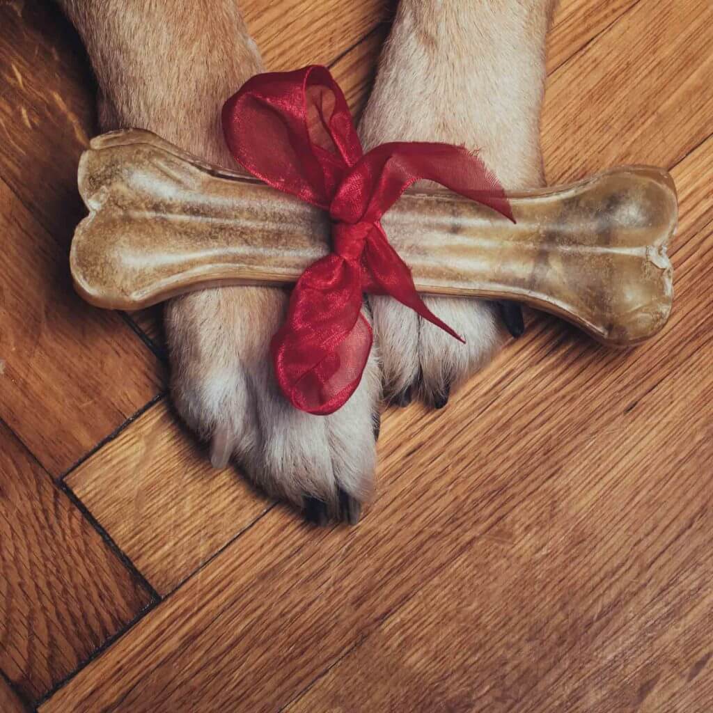 A dog with a treat on its paws